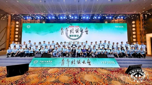 图片4