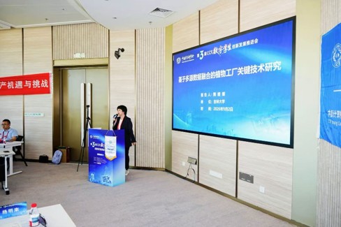 图片5 图片5